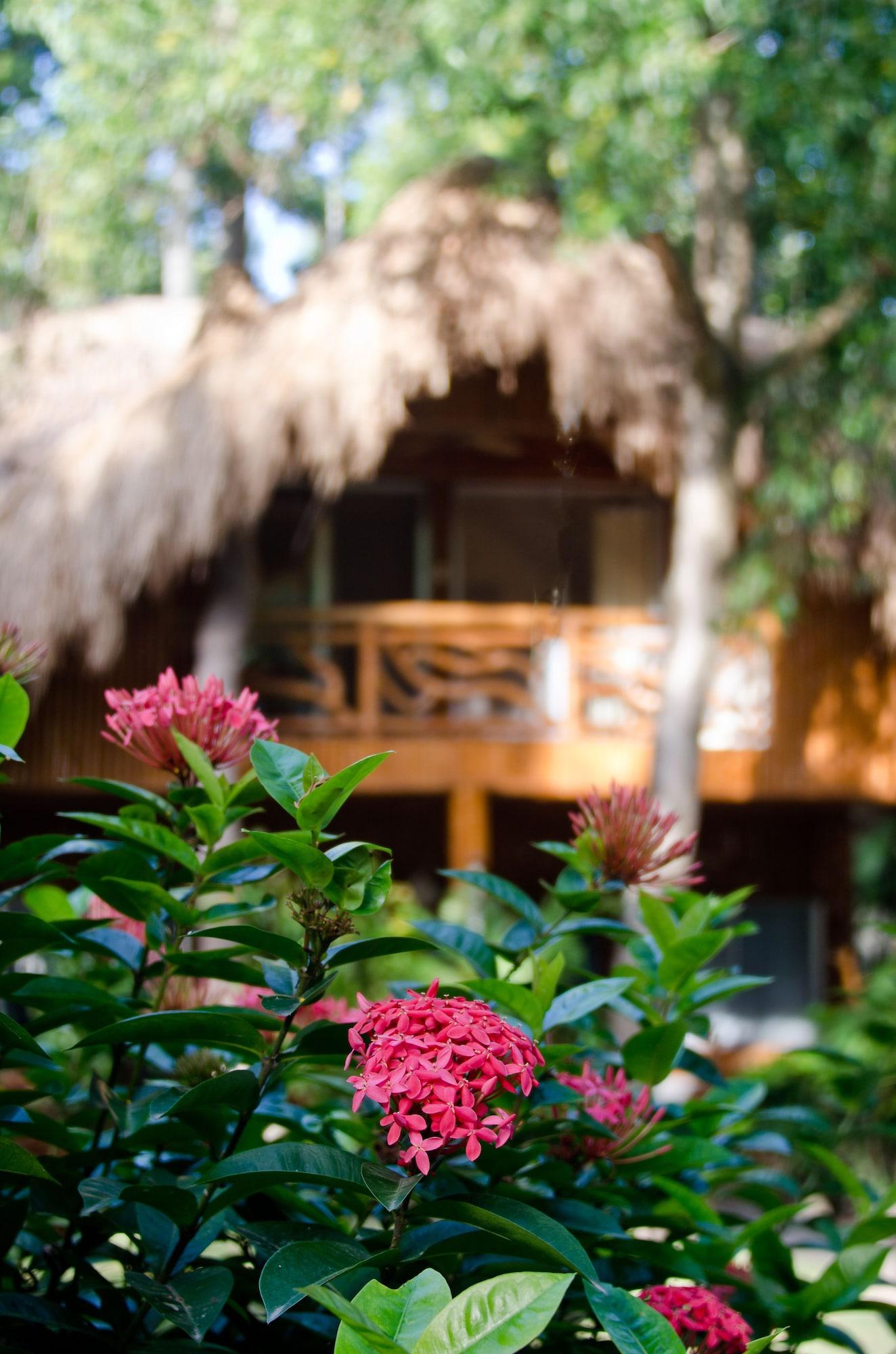 Mike'S Dauin Dive Resort Exterior photo